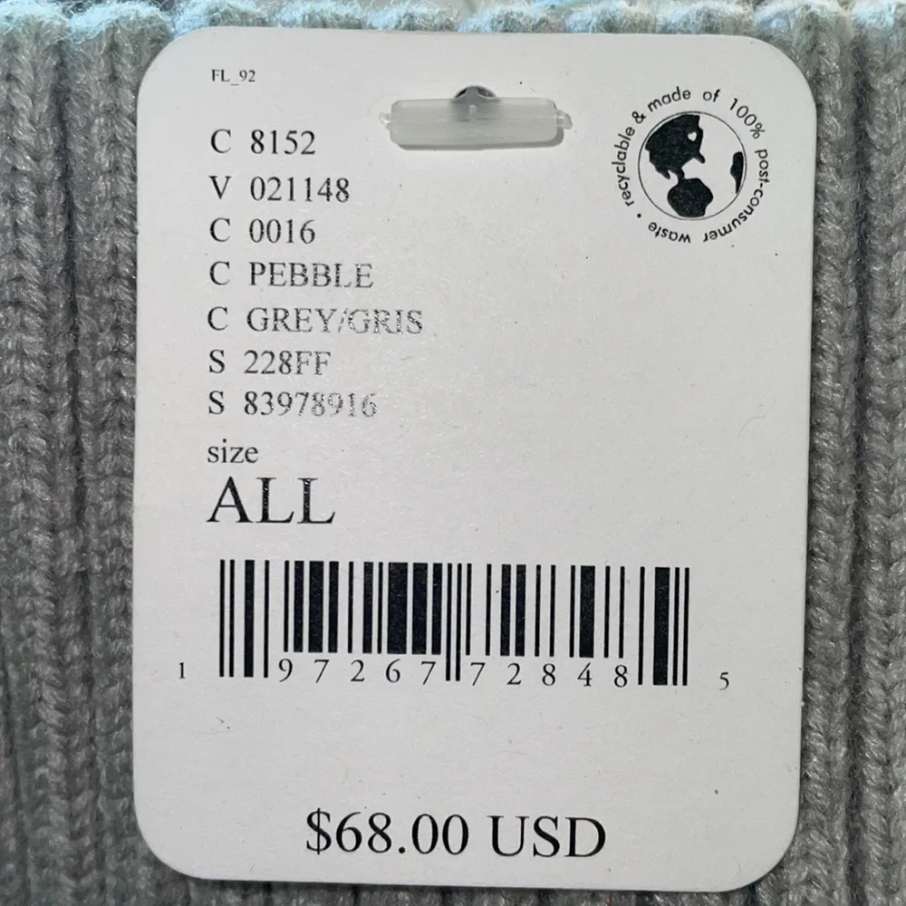 Free People ⛸️ Orbit Pom Beanie New with Tags 💎